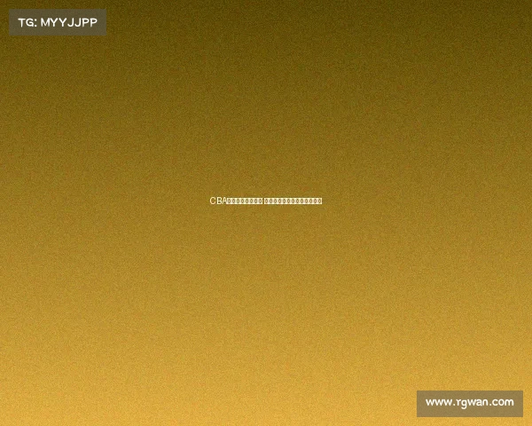 CBA最新数据榜单解析 球员表现亮眼团队战力大揭秘